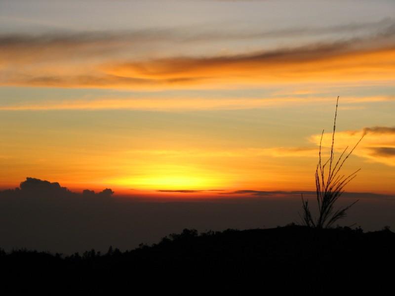 2007 07 15 BALI 0013.jpg